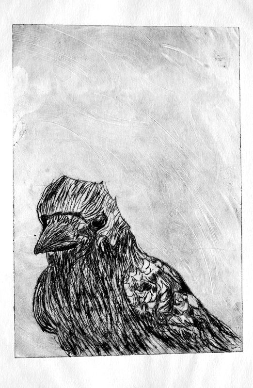 prints and etches of birds, blackbirds, crows for a short story by Alan Bennett by first year girls in Co. Louth, scarecrow - HeadStuff.org