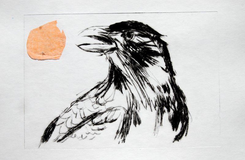 prints and etches of birds, blackbirds, crows for a short story by Alan Bennett by first year girls in Co. Louth, Scarecrow - HeadStuff.org