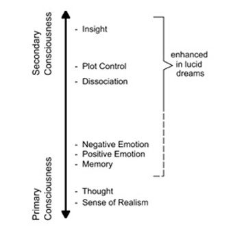 Model of dream of consciousness from Voss et al. 2014, lucid dreaming, gamma ray, sleeping, induced, inception, aware of dreaming, self aware in a dream - HeadStuff.org