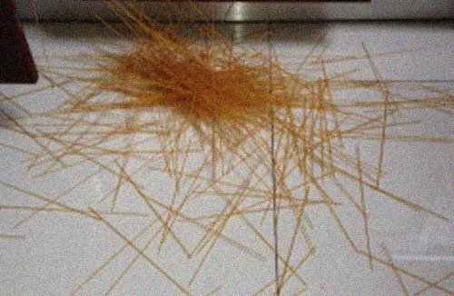spaghetti, spaghetti on the ground, on tiles, gravity, what is gravity?, explain gravity, newton, einstein, gravitational pull, junior science, gravity for children, science for young people - HeadStuff.org