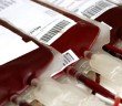 Bloodbags, bags of blood, bathtubs of blood, donate blood - HeadStuff.org