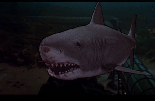 Film week in review, hamster film reviews, Jaws 3D, spielberg, Jaws, terrible film, is it any good? Review - HeadStuff.org