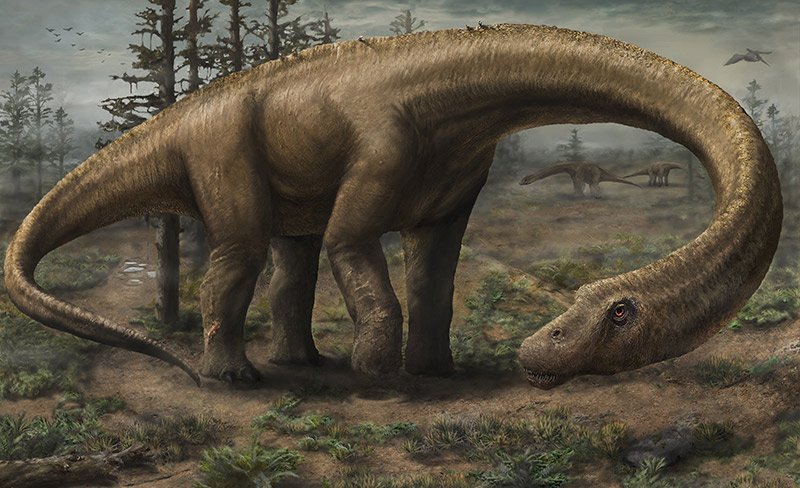 Dreadnaughticus, the largest dinosaur that ever was - headstuff.org