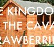 The Kingdom of the Cavan Strawberries - HeadStuff.org