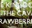 The Kingdom of the Cavan Strawberries
