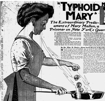 Newspaper article about Typhoid Mary Mallon - headstuff.org