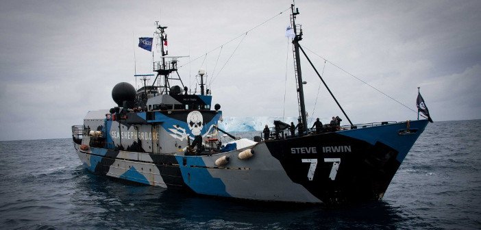 Sea Shepherds - HeadStuff.org