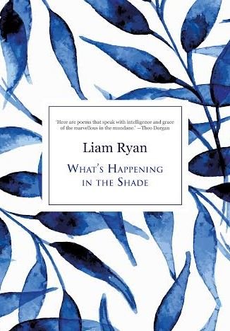 liam ryan book cover