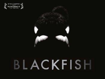 Blackfish - HeadStuff.org