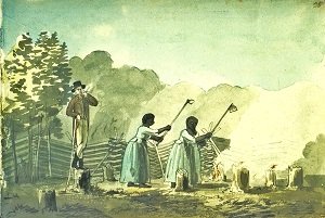 18th century tobacco plantation - headstuff.org