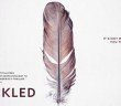 Film Review | Tickled - HeadStuff.org