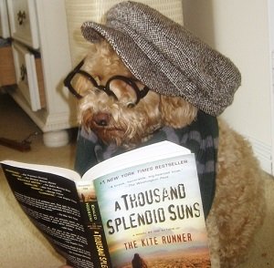 Dog dressed as a hipster - headstuff.org