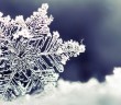 Snowflake - HeadStuff.org