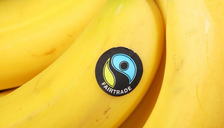 Fair Trade Bananas - HeadStuff.org