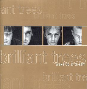 BRILLIANT TREES WAKE UP AND DREAM