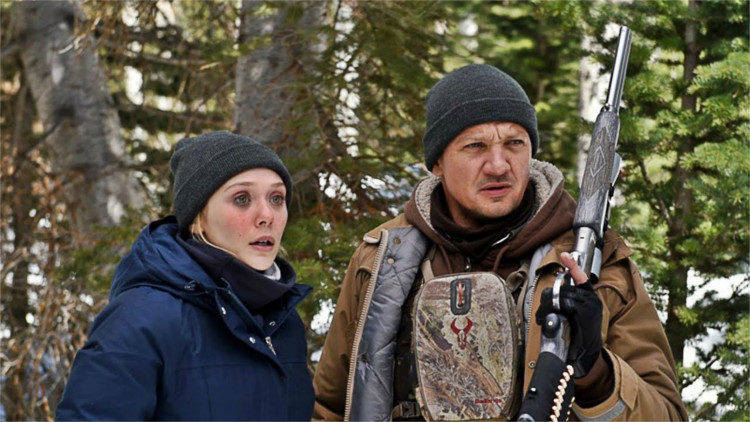 The Best Movies You Missed in 2017 Wind River