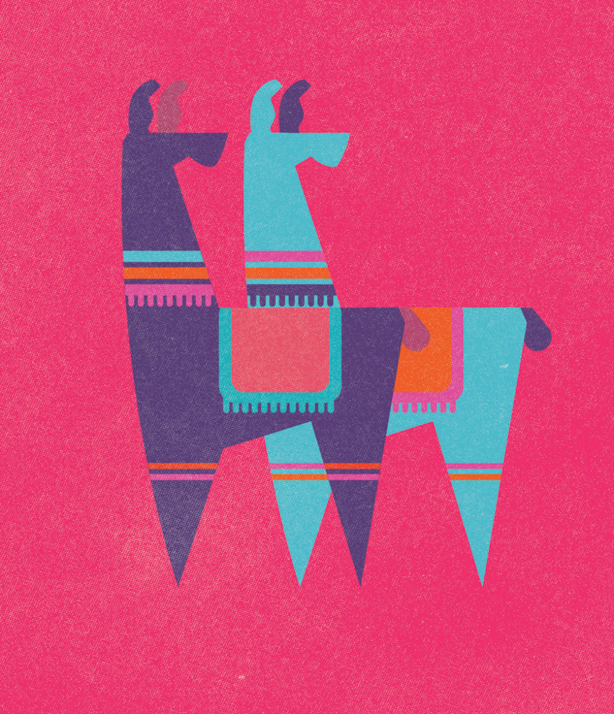 Llamas by Donough O'Malley. Instagram Pick of the Week