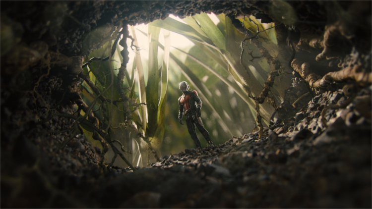 Ant-Man Marvel Movies Ranked - HeadStuff.org