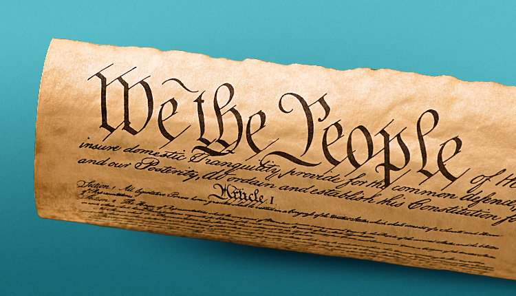 What Am Politics constitutions