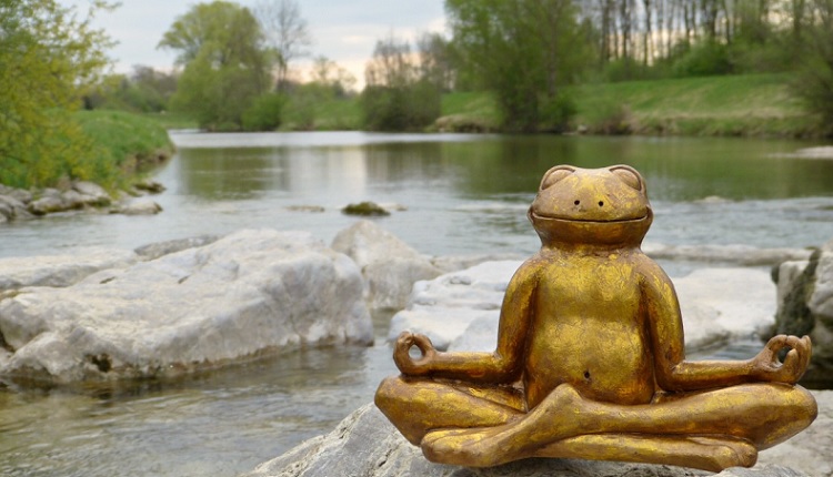 Meditation frog | HeadStuff.org