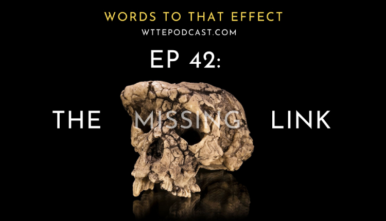 The Missing Link - Words To That Effect 42